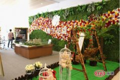 8月18日海上花院城市展厅亮相